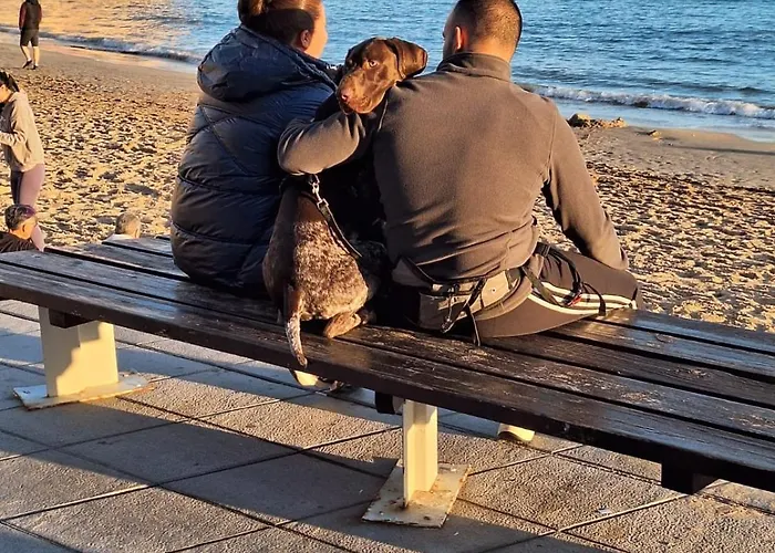 Casa Daiva Torrevieja